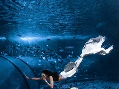 -太平洋海底世界