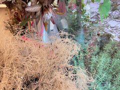 -二酉书店TOYOU BOOKS