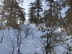 -瓦屋山景区