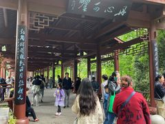 -重庆彩云湖湿地公园