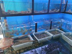 水产区-阿军排档·烧烤