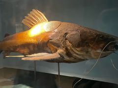 -常州海昌海洋探索馆