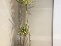 -mYSTEPS健身运动馆(古北店)