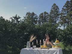-柑橘农场