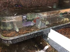 -海鲜e族(马王堆店)