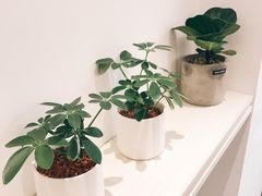 -Onirii Coffee(长乐路店)