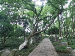 -上海方塔园