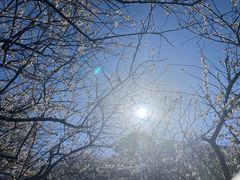 -广州市流溪河国家森林公园