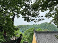 -灵隐飞来峰景区