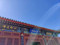 -天津大悲禅院