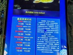 -合肥海洋世界