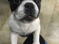 -宠爱有家宠物店(环镇北路店)