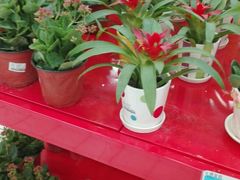 -大润发(东关世茂店)