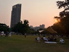 -万绿园