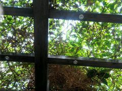 -龙达温泉生态城