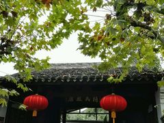 -溪口-滕头旅游景区