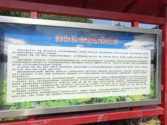 -莲花池公园