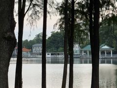 -荔湾湖公园
