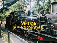 -普芬比利蒸汽火车