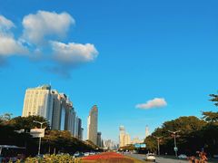 -深圳国际园林花卉博览园