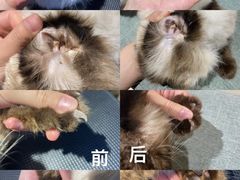 -听TA说宠咖·宠物生活馆(天韵水岸店)