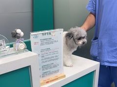 -博特宠物医院24h犬猫全科.骨科·异宠