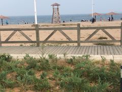 -长兴岛海滨公园