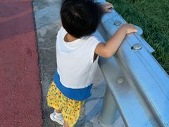 -洋山深水港