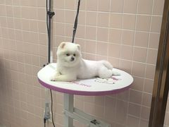 -FAELING PETS美天灵宠物(富力广场店)