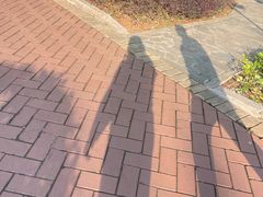 -深圳龙潭公园
