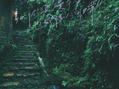 -杨家堂村