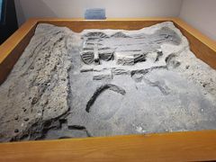 -洛阳周王城天子驾六博物馆