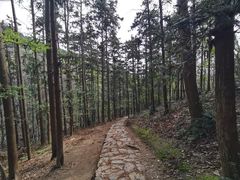 -冶父山国家森林公园