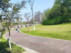 -眉山湿地公园(东坡区)