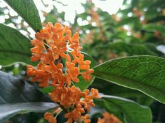 -苏州河梦清园环保主题公园