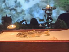 -地球美食剧场