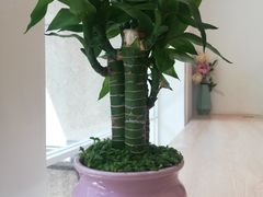 -捕螺记螺蛳粉(东关大街店)