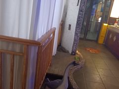 -醉霖生态餐厅(交大店)