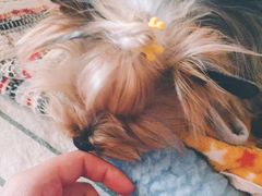 -春风十里咖啡馆
