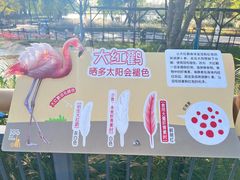 -武汉动物园