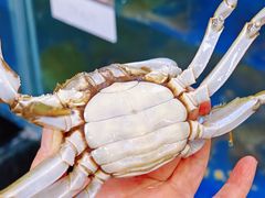 -阳澄湖大闸蟹·琼灵阁牌品牌连锁(吴中总店)