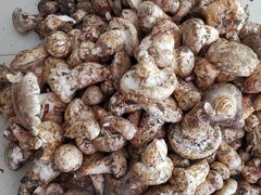-山菌美食苑(振兴路店)