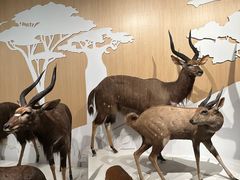 -陕西自然博物馆