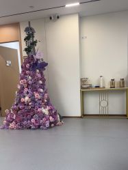 -上海伊莱美医疗美容医院