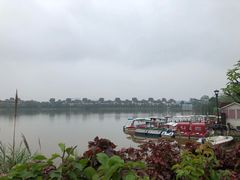 -美的鹭湖森林度假区