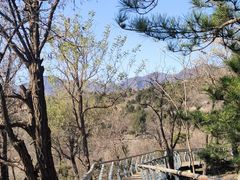 -白水寺森林公园