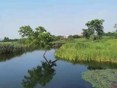 -良渚古城遗址公园