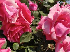 -同德昆明广场购物中心