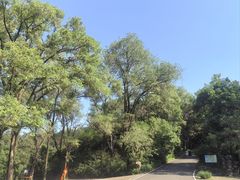 -萨尔浒风景区