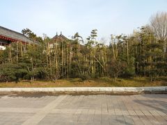 -洛阳市隋唐城遗址植物园